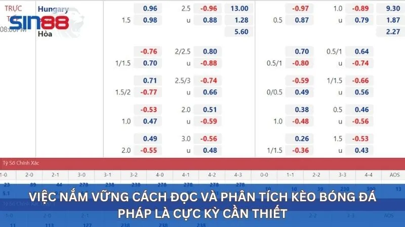 Việc nắm vững cách đọc và phân tích  kèo bóng đá Pháp là cực kỳ cần thiết