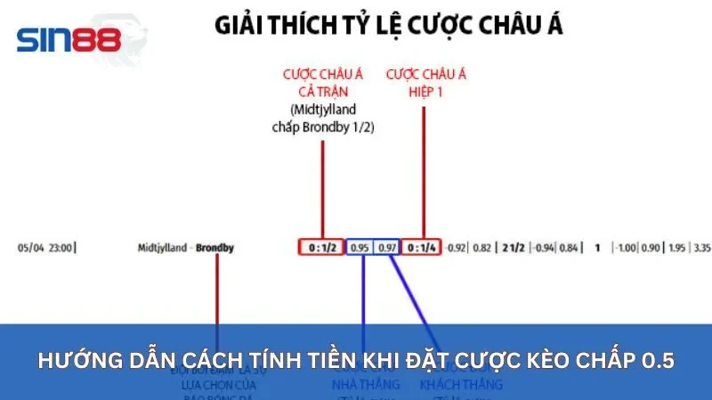 Cách tính tiền khi đặt cược kèo 0.5 là gì